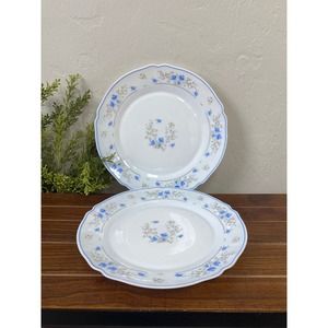 Set of 2 Vintage Romantique by Arcopal Plates - Blue Floral Cottagecore